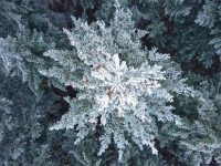 Drone-opnamen maken van de sneeuw: dit zijn de beste camerasettings