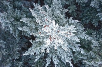Drone-opnamen maken van de sneeuw: dit zijn de beste camerasettings