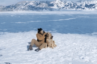 DJI MasterShots 3 vliegroutes