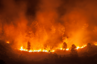 4 manieren waarop drones bosbranden bestrijden