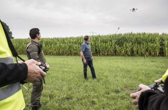 Provincie Limburg grijpt naar drones in strijd tegen illegale hennepteelt
