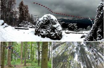 Dankzij een nieuwe vorm van AI vliegt deze drone met 40 km/uur door het bos