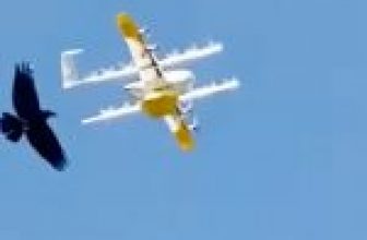 Google-dochter houdt pakketbezorgende drones aan de grond na aanvallen door raven