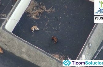 ‘A-Team’ is droneteam te snel af bij reddingspoging honden op La Palma