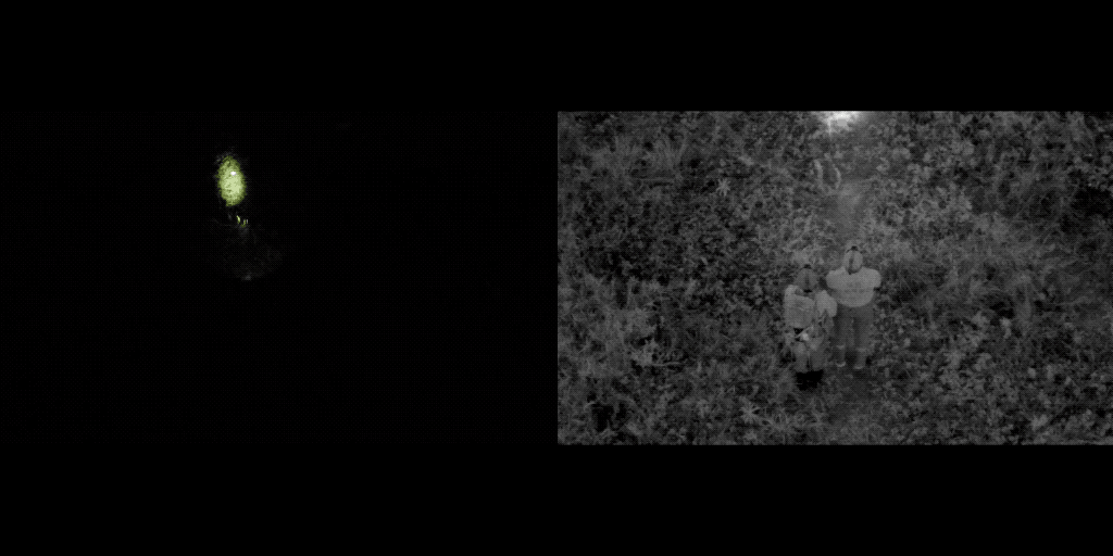 H20N Gesplitst Scherm - Camera Met Menselijk Oog Versus Sterrenlicht