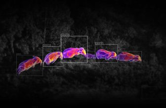 DJI lanceert Onboard AI Challenge 2026 voor slimme drone-toepassingen | Dronewatch