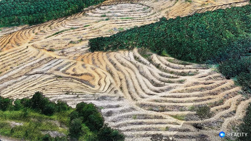 1D8807Fd-4C45-474D-9Cdf-67Bb9151700B