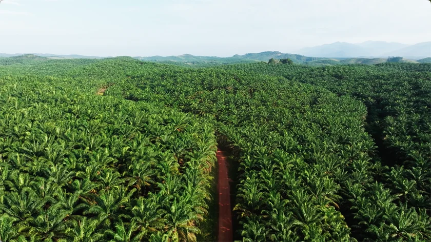 E705120F-50E2-178D-Cd3D-A8D19D0074Be