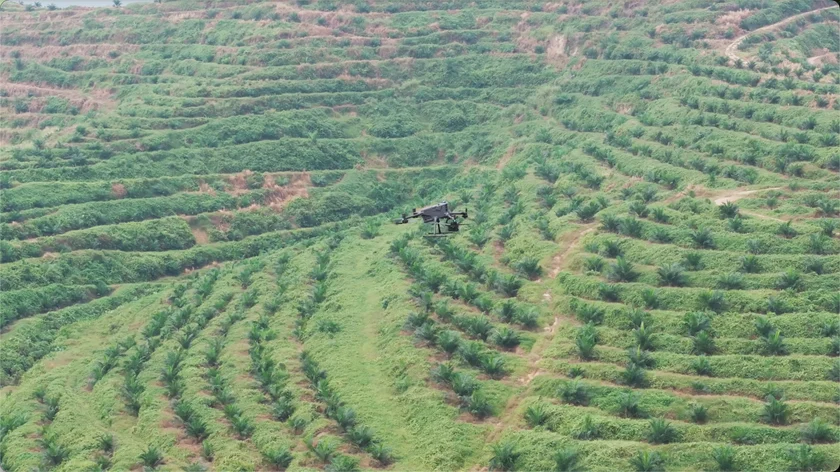 D36A2B90-6F81-49Ec-Bfce-B4144Dcf1A85