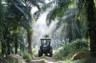 Hoe DJI Zenmuse L3 de activiteiten op een palmplantage van 3.800 hectare in Maleisië transformeert