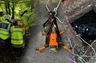 Drone zonder propellers helpt koe uit historische ijskelder redden | Dronewatch