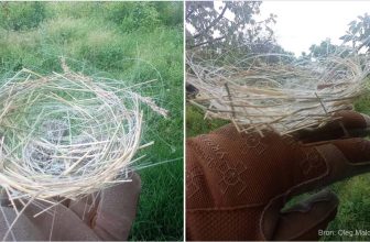 Vogels in Oekraïne vlechten nesten van achtergelaten glasvezels van FPV-drones | Dronewatch
