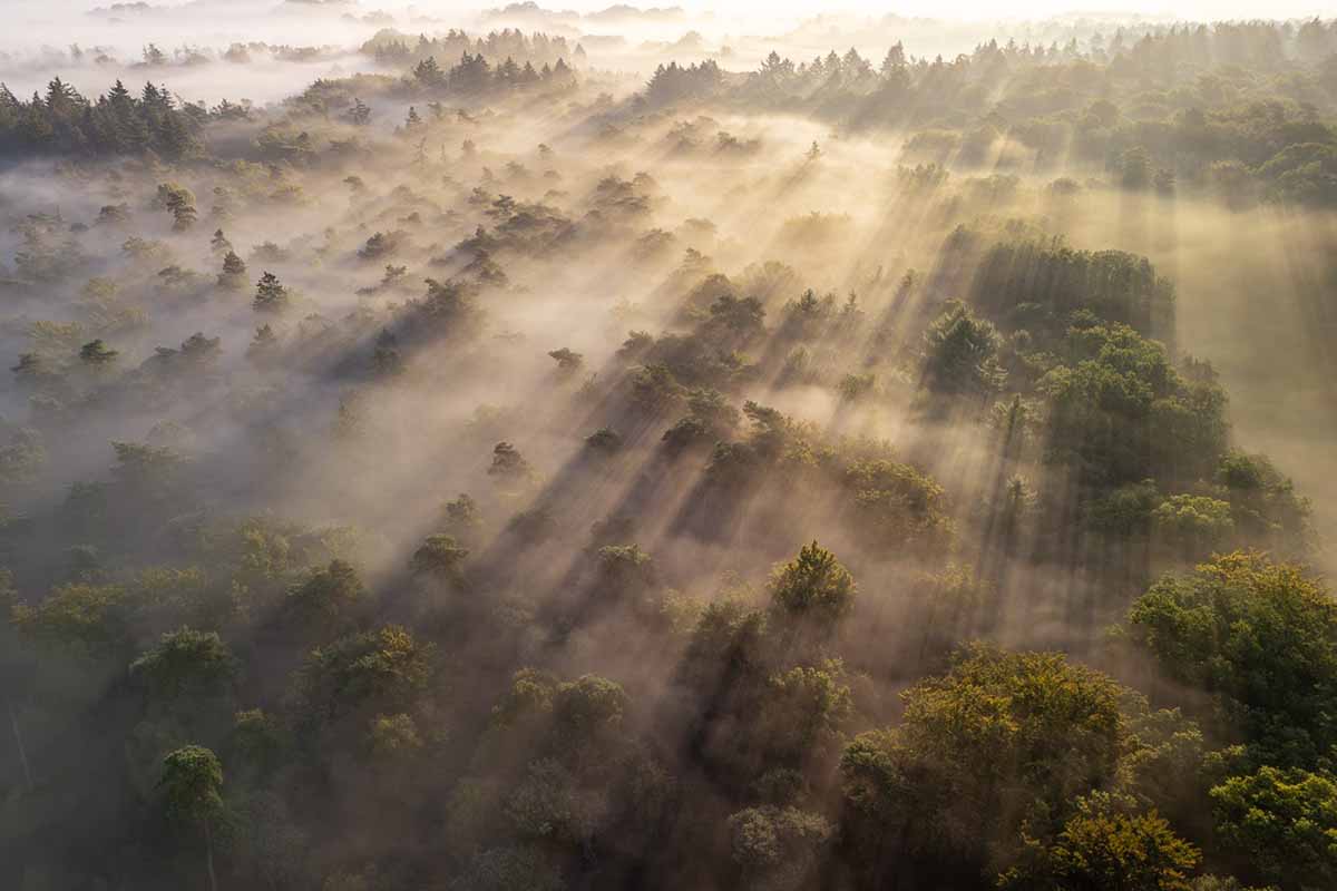 Spectaculaire Shelfcloud-Foto Wint Dronefotowedstrijd 2026 | 8 Tony Kooij Heeft De Dronefotowedstrijd 2026 Gewonnen Met Zijn Foto ‘Shelfcloud Lage Zwaluwe’. De Spectaculaire Opname Van Een Naderende Shelfcloud Boven Het Brabantse Lage Zwaluwe Eindigde Overtuigend Op De Eerste Plaats. De Winnaars Werden Zaterdag Bekendgemaakt Tijdens Het Drone En Actioncam Event Van Cameranu. De Winnende Foto Maakt Deel Uit Van Een Gevarieerde Top 10, Waarin Onder Meer Winterse Landschappen, Abstracte Natuurbeelden En Bijzondere Perspectieven Vanuit De Lucht Zijn Terug Te Vinden.