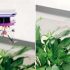 Raketdrone maakt F1-debuut op Spa-Francorchamps voor live actiebeelden |